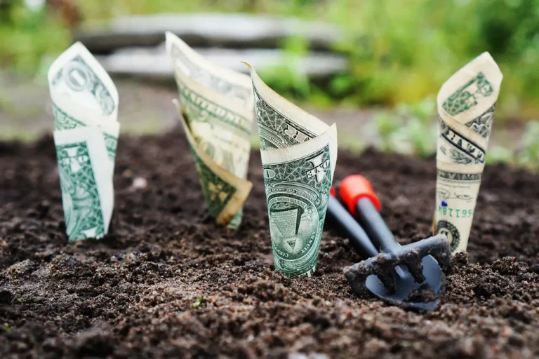 How to Choose the Best Money Market Account for Your Savings