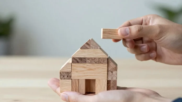 What are Promoters in The Context of NPS and PFRDA